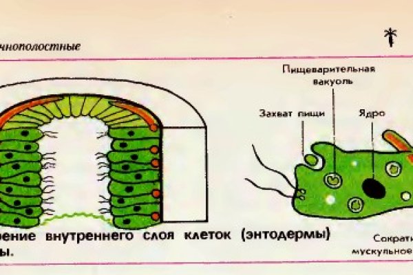 Кракен маркетплейс ассортимент