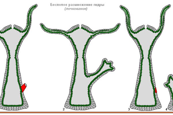 Сайты где купить наркотики