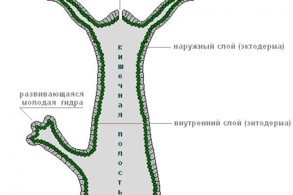 Клирнет ссылка на зеркало маркетплейс кракен