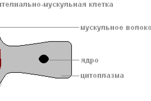 Почему в кракене пользователь не найден