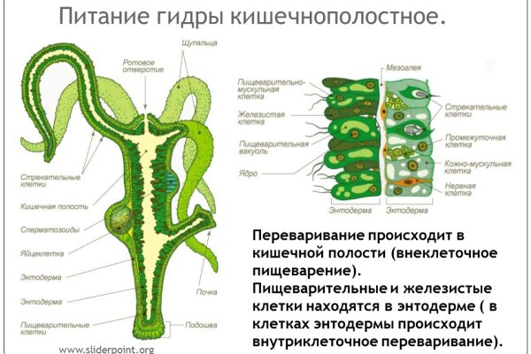 Кракен даркнет официальный сайт