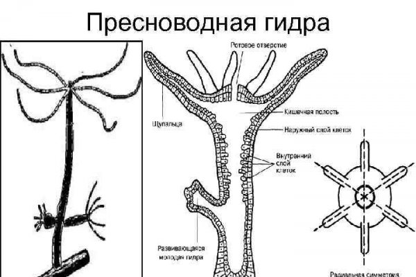 Кракен даркнет слушать