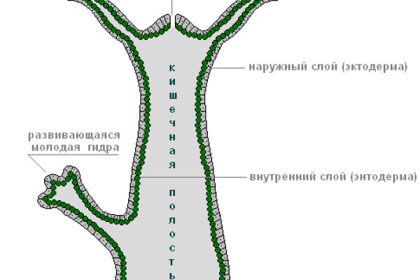 Оригинальные ссылки кракена